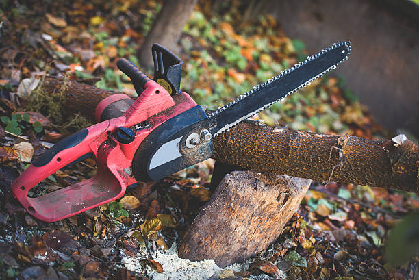 Best Emergency Tree Removal  in Fountain Valley, CA